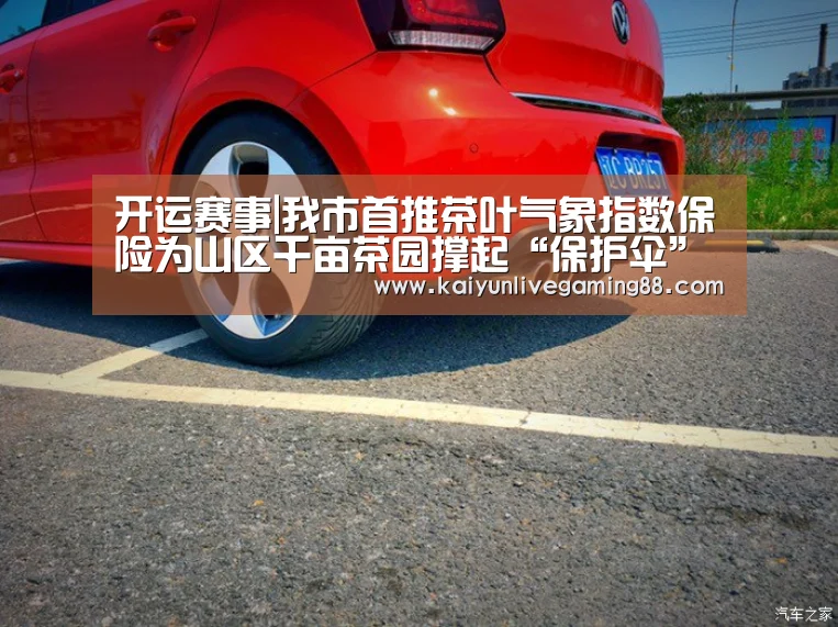 开运赛事|我市首推茶叶气象指数保险为山区千亩茶园撑起“保护伞”